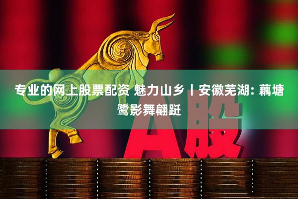 专业的网上股票配资 魅力山乡丨安徽芜湖: 藕塘鹭影舞翩跹
