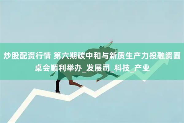炒股配资行情 第六期碳中和与新质生产力投融资圆桌会顺利举办_发展司_科技_产业