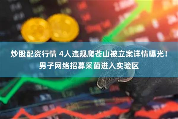 炒股配资行情 4人违规爬苍山被立案详情曝光！男子网络招募采菌进入实验区