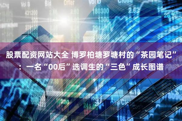 股票配资网站大全 博罗柏塘罗塘村的“茶园笔记”：一名“00后”选调生的“三色”成长图谱