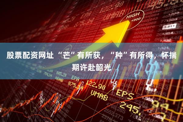 股票配资网址 “芒”有所获，“种”有所得，怀揣期许赴韶光